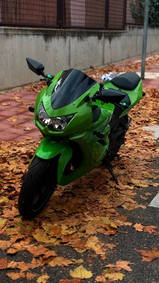 Kawasaki Ninja 250R (33CV)