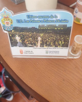 Placa UD Las Palmas con césped