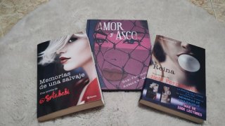 Lote de libros Bebi Fernández