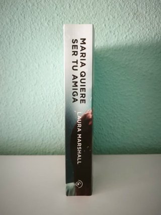 Novela María quiere ser tu amiga Laura M. Thriller