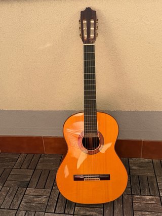 Guitarra Alhambra 7P con estuche