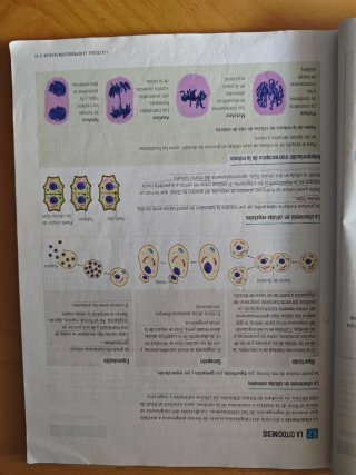 Biología y Geología 4, Secundaria, Fanfest Edel...