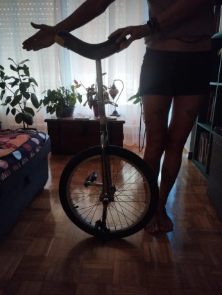 Monociclo de circo