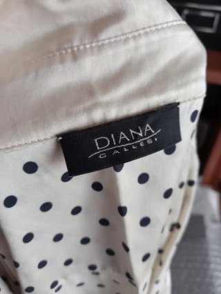 Camicia in seta - Diana Gallesi