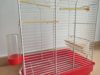 Jaula para pájaros con bebedero y comedero