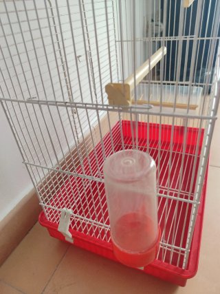 Jaula para pájaros con bebedero y comedero
