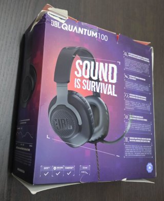 Auriculares JBL Quantum 100 Negros