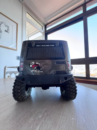 Coche RC Crawler 1/10 RGT.