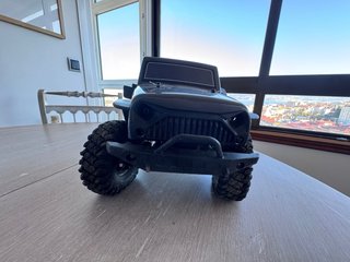 Coche RC Crawler 1/10 RGT.