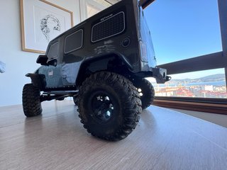 Coche RC Crawler 1/10 RGT.