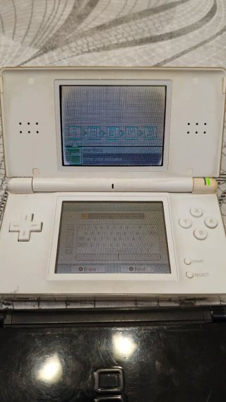 4x Nintendo DS Lite - Console Portatile