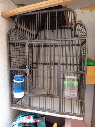 Gabbia grande per uccelli