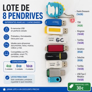 Lote 8 Pendrives USB Varias Marcas y Capacidades
