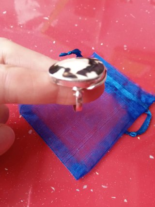 Anillo Plata Nácar Bicolor