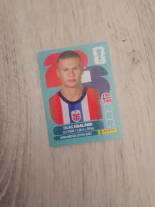 Cromo Mundial Haaland Panini
