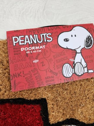 Tappeto d'ingresso casa Snoopy