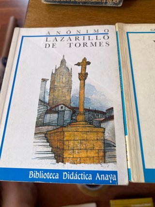 Lote 6 Libros Clásicos de Literatura Española