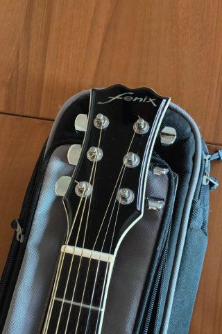 Guitarra Fenix SL-90 Electroacústica