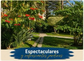Alquiler de Apartamento PLAYA VELILLA