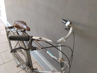 Bicicleta Maashuis Clásica Holandesa