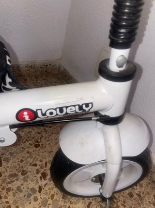 evolutivo Louely con capota,