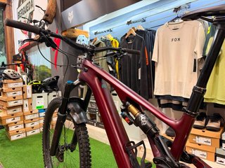 BTT Eléctrica Specialized Turbo Levo Expert Gen3
