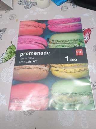 Promenade, français A1, 1 Secundaria Livre de l...