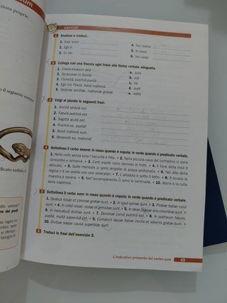 Ab imis. Primo incontro con la lingua e la civiltà