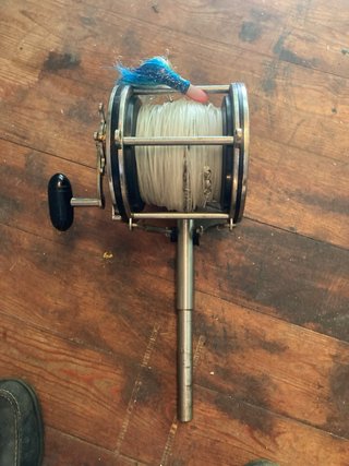 Carrete Penn Senator 12/0