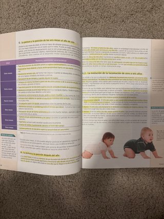DESARROLLO COGNITIVO Y MOTOR GS CICLO EDUCACIÓN...