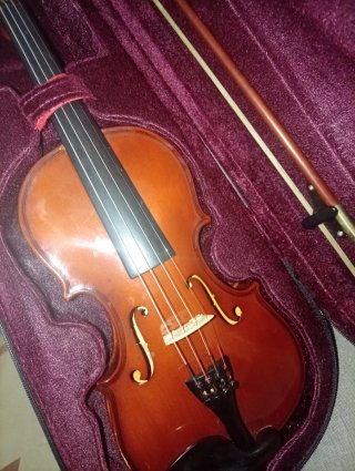 Violín