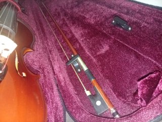 Violín