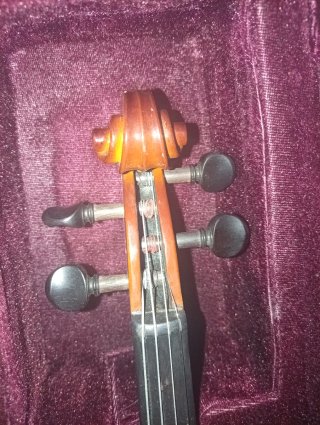 Violín