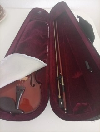 Violín