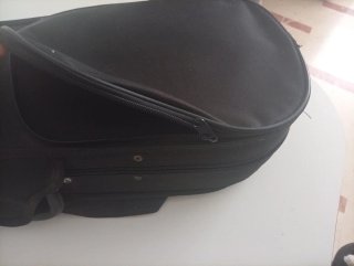 Violín