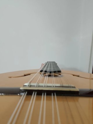 Laúd Paco Castillo L5