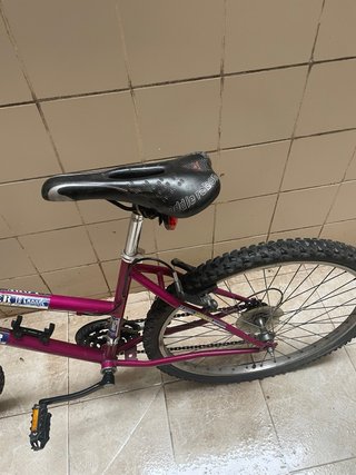 Bicicleta Globe Trotter Morada