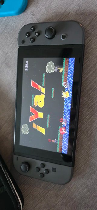 Nintendo Switch Gris con Funda