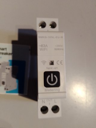 Interruptor Inteligente WiFi 1A/63A