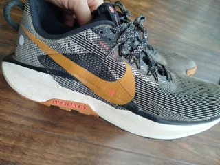 Nike Pegasus Trail 5 Zapatillas Running 42