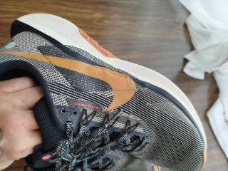 Nike Pegasus Trail 5 Zapatillas Running 42