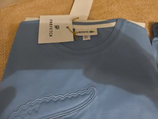 Conjunto Lacoste Hombre Talla S Azul
