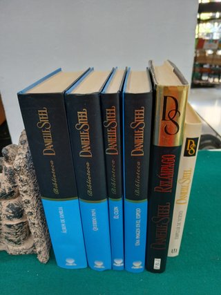 Lote 6 Libros Danielle Steel