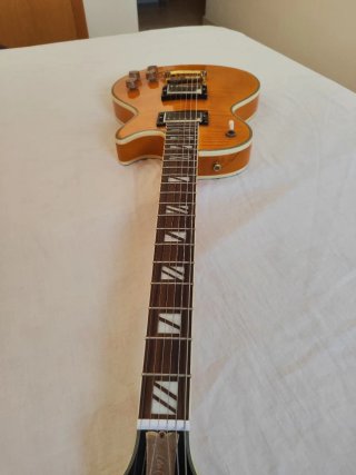 Guitarra Eléctrica Les Paul Estilo Supreme