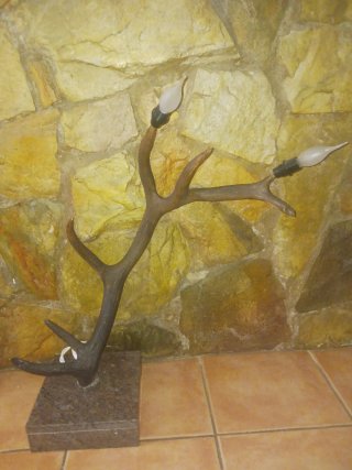 Trofeos decorativos