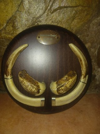 Trofeos decorativos