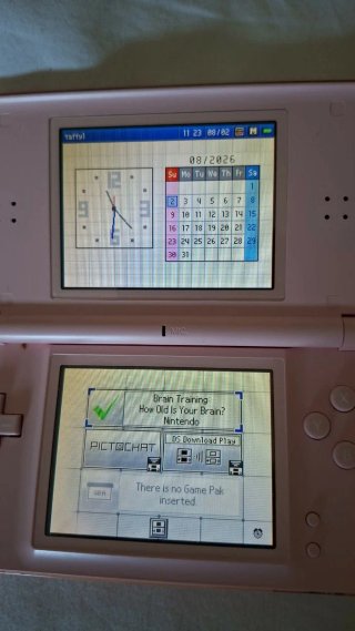 Nintendo DS Lite Rosa con Gioco Brain Training