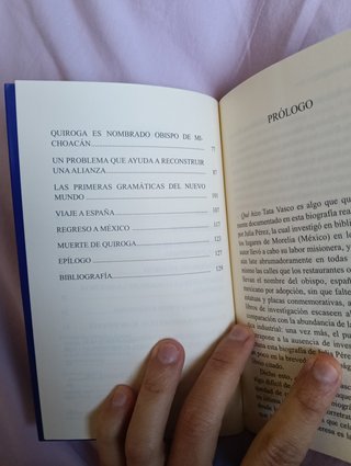 Libro Vasco de Quiroga (Filosofía - Ed. Sinergia)