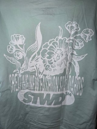 Camiseta STWD Verde Menta Estampada