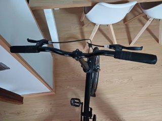 Bicicleta Plegable Single Speed 20